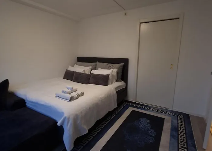 Penthouse 公寓 *