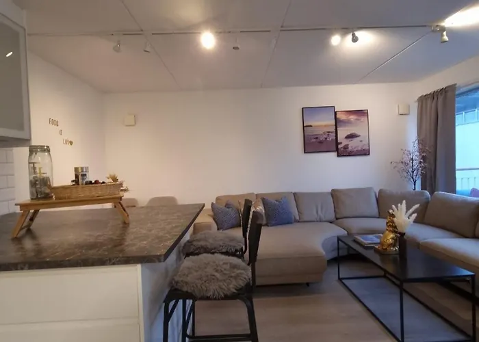 公寓 Penthouse 奥斯陆